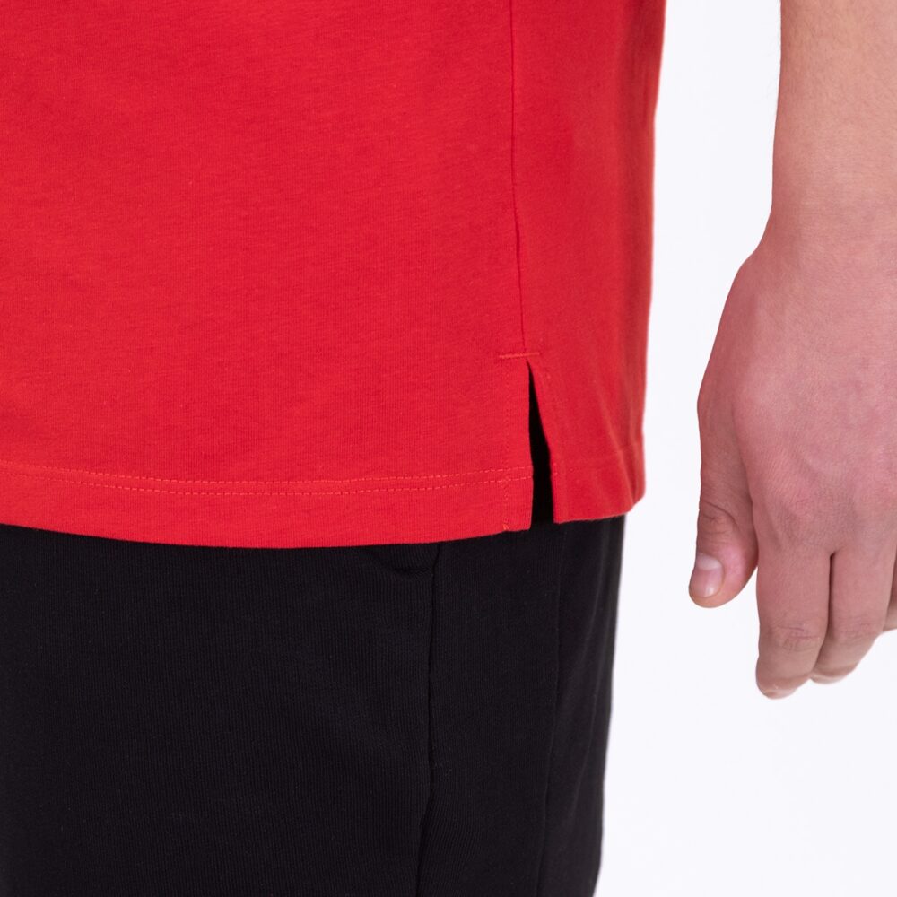 Polo Power - Image 6
